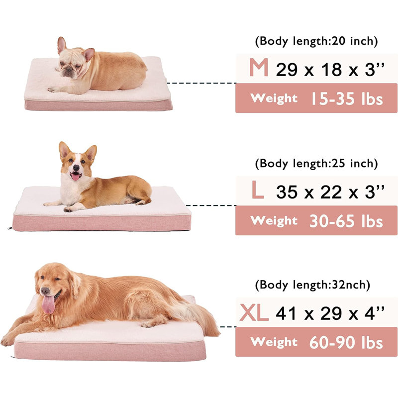 Memory foam dog bed sale hotsell